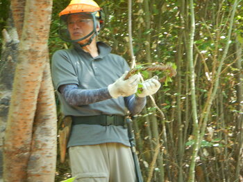 DSCN8542.JPG