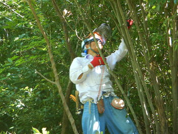 DSCN8551.JPG
