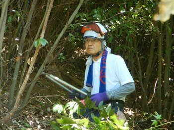 DSCN8552.JPG