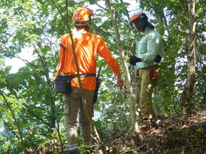 DSCN8585.JPG