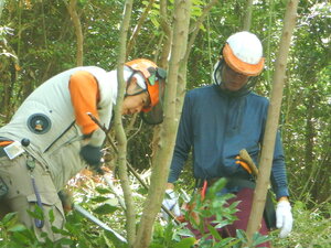 DSCN8602.JPG