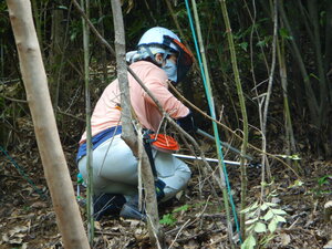 DSCN8629.JPG