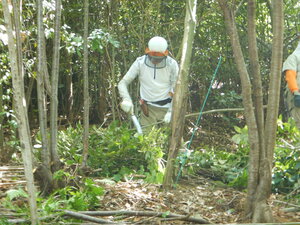 DSCN8638.JPG