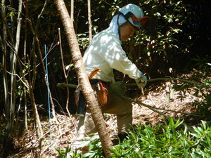 DSCN8648.JPG
