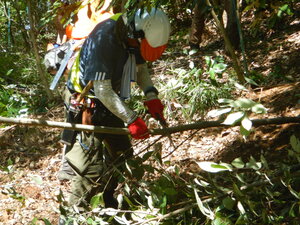 DSCN8649.JPG