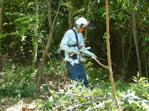 DSCN8658.JPG