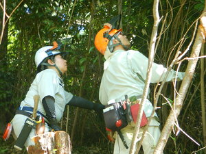 DSCN8664.JPG