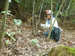 DSCN8707.JPG