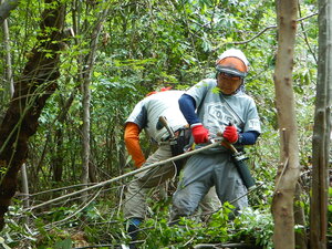 DSCN8713.JPG