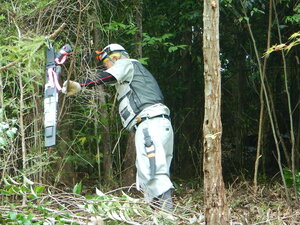 DSCN8728.JPG