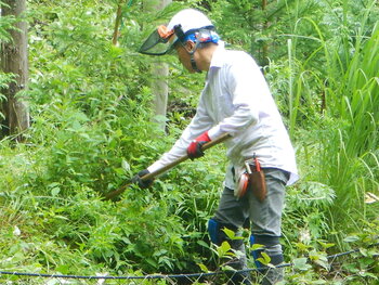 DSCN7048.JPG