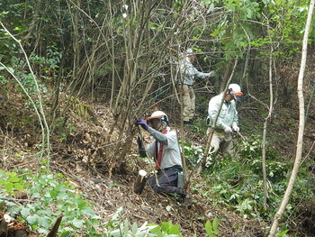 DSCN7949.JPG
