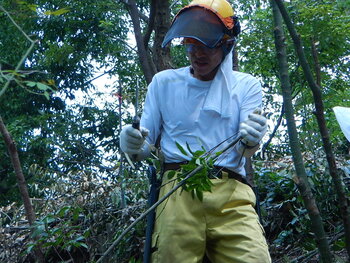 DSCN8914.JPG