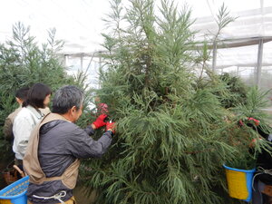 DSCN4860.JPG