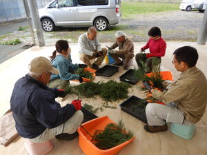 DSCN4906.JPG