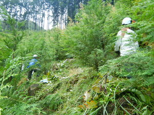 DSCN7584.JPG
