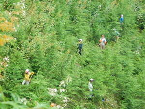 DSCN7603.JPG
