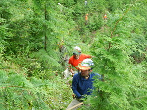 DSCN7608.JPG
