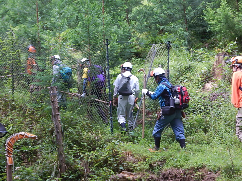DSCN8477.JPG