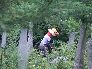 DSCN8618.JPG