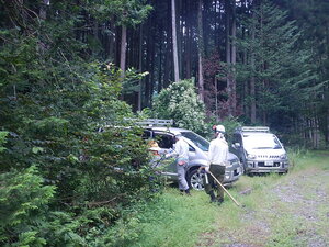 DSCN8623.JPG