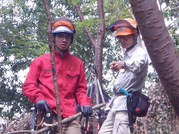 DSCN8717.JPG