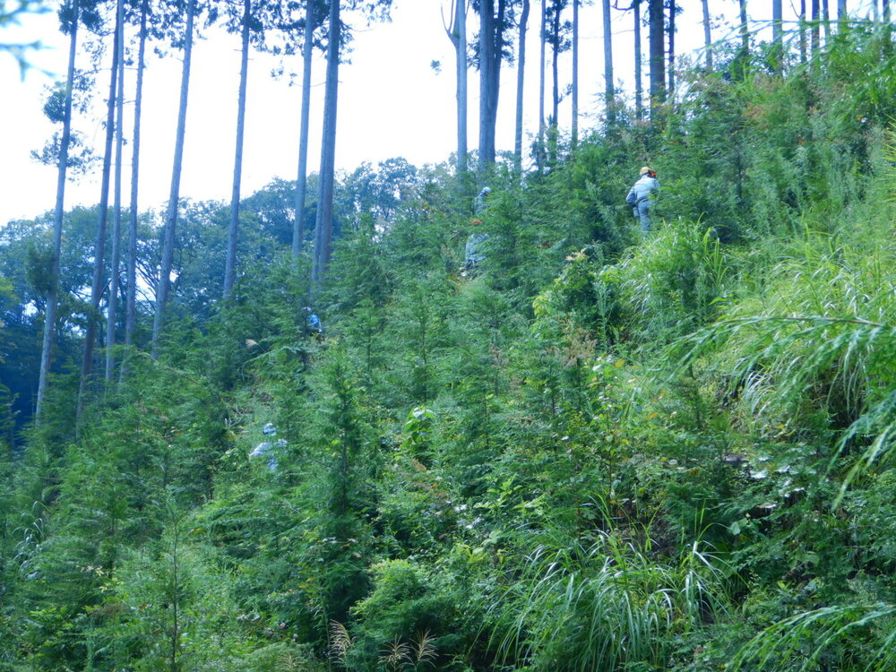 DSCN8760.JPG