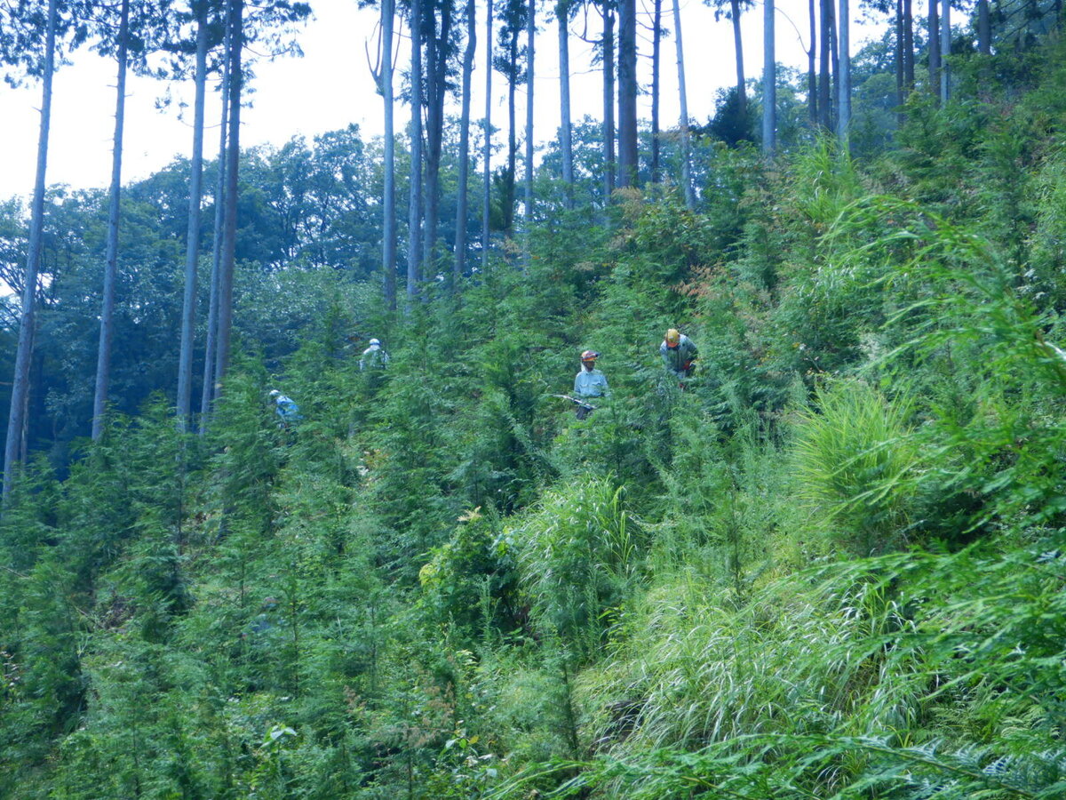 DSCN8770.JPG
