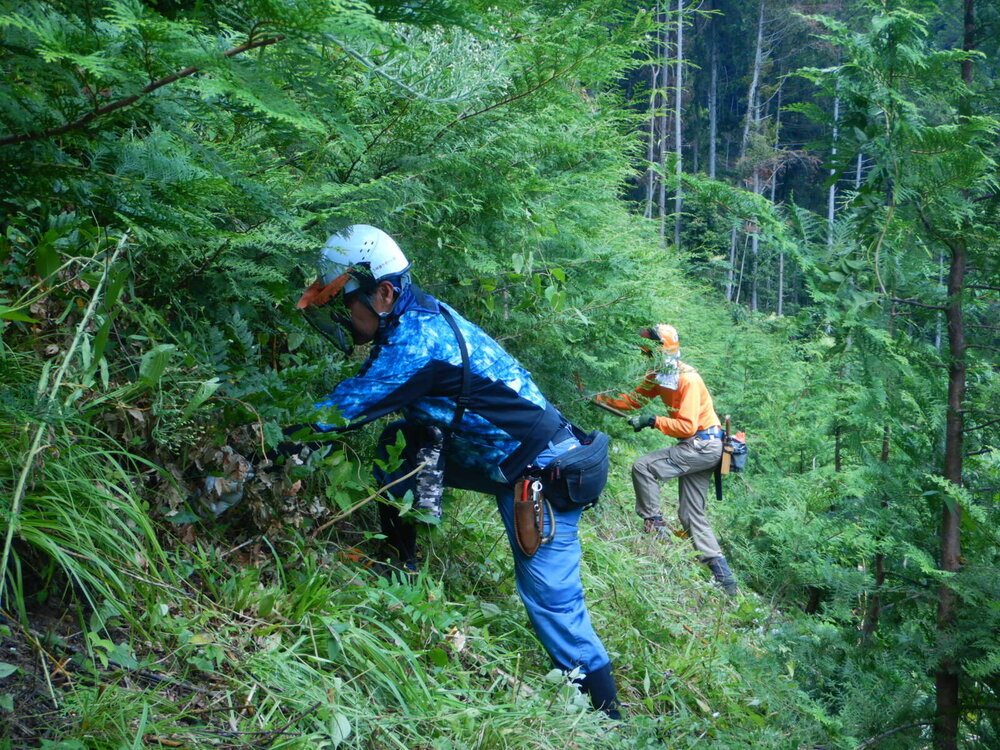 DSCN8771.JPG