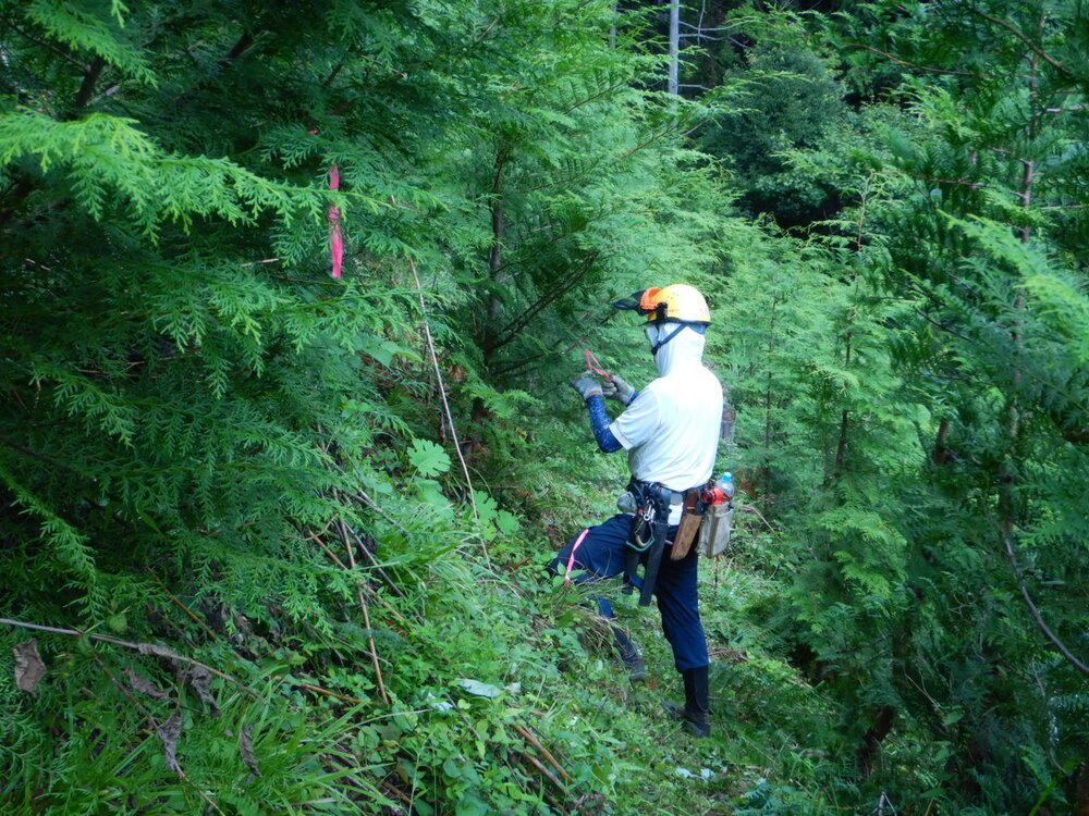 DSCN8798.JPG