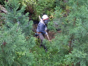 DSCN8828.JPG