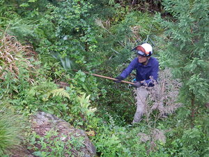DSCN8831.JPG