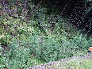 DSCN8834.JPG