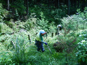 DSCN8840.JPG