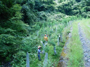 DSCN8851.JPG
