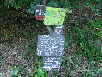 DSCN8906.JPG