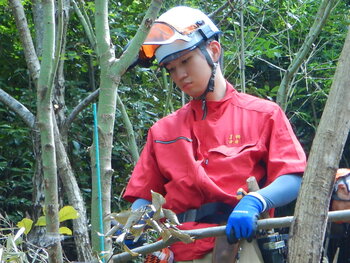 DSCN8942.JPG