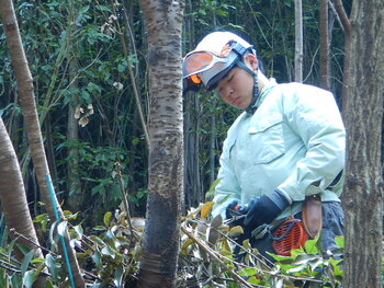 DSCN8943.JPG