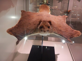 DSCN8946.JPG