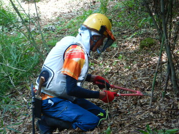 DSCN8950.JPG