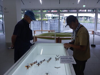 DSCN8951.JPG
