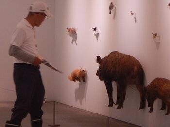 DSCN8954.JPG