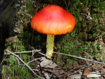 DSCN8977.JPG