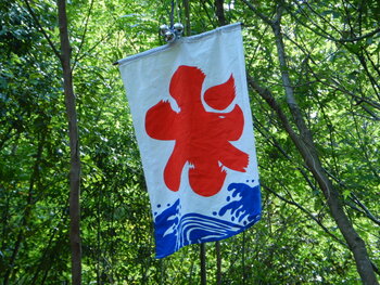 DSCN8979.JPG