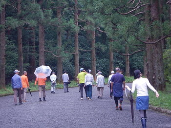 DSCN8994.JPG