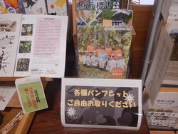 DSCN9153.JPG