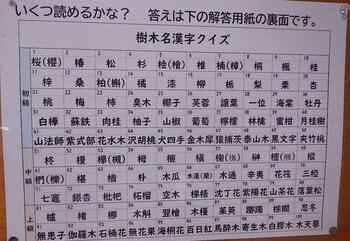 DSCN9164.JPG