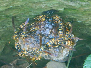 DSCN9188.JPG