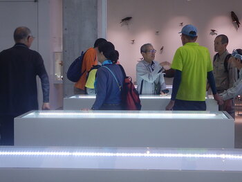 DSCN9189.JPG