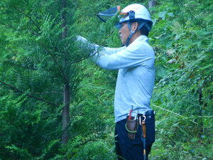 DSCN9197.JPG